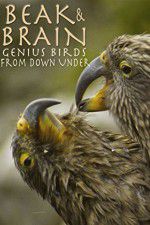 Watch Beak & Brain - Genius Birds from Down Under 5movies