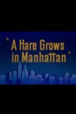 Watch A Hare Grows in Manhattan 5movies