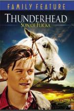 Watch Thunderhead - Son of Flicka 5movies