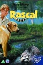 Watch Rascal 5movies