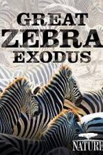 Watch Nature: Great Zebra Exodus 5movies