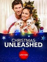 Watch A Doggone Christmas 5movies