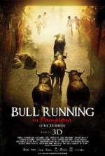 Watch Encierro 3D: Bull Running in Pamplona 5movies