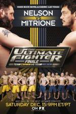 Watch The Ultimate Fighter 16 Finale Nelson vs Mitrione 5movies