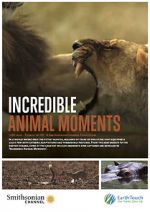 Watch Incredible Animal Moments 5movies