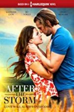 Watch After the Storm 5movies