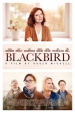 Watch Blackbird 5movies