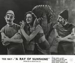 Watch A Ray of Sunshine: An Irresponsible Medley of Song and Dance 5movies