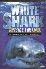 Watch National Geographic white shark:outside the cage 5movies