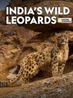 Watch India\'s Wild Leopards (Short 2020) 5movies