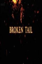 Watch A Tiger Called Broken Tail 5movies
