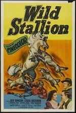 Watch Wild Stallion 5movies