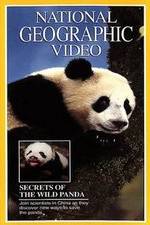 Watch Secrets of the Wild Panda 5movies