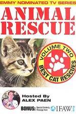 Watch Animal Rescue, Volume 2: Best Cat Rescues 5movies
