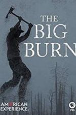 Watch American Experience: The Big Burn 5movies