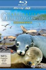 Watch Faszination Galapagos 5movies