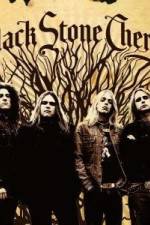 Watch Black Stone Cherry Live in Meridian, MS 5movies