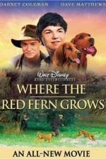 Watch Where the Red Fern Grows 5movies