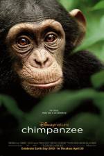 Watch Chimpanzee 5movies