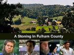 Watch A Stoning in Fulham County 5movies