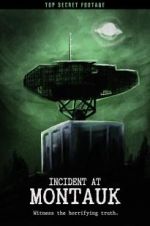 Watch Incident at Montauk 5movies