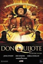 Watch Don Quixote 5movies
