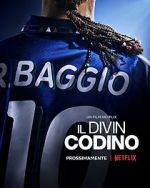 Watch Baggio: The Divine Ponytail 5movies