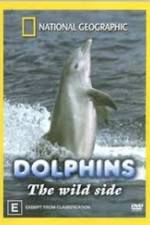 Watch Dolphins: The Wild Side 5movies