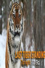 Watch Discovery Channel-Last Tiger Standing 5movies