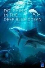 Watch Dolphins in the Deep Blue Ocean 5movies