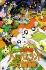 Watch Hamtaro: Adventures in Ham-Ham Land 5movies