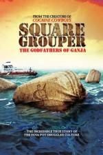 Watch Square Grouper 5movies