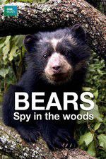 Watch Bears: Spy in the Woods 5movies