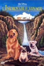 Watch Homeward Bound: The Incredible Journey 5movies
