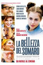 Watch La bellezza del somaro 5movies