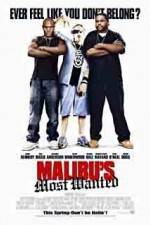 Watch Malibu's Most Wanted 5movies