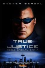 Watch True Justice: Brotherhood 5movies