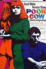 Watch Poor Cow 5movies
