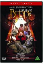 Watch Buddy 5movies