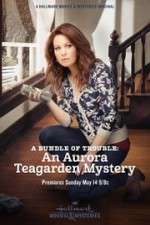 Watch A Bundle of Trouble: An Aurora Teagarden Mystery 5movies