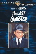 Watch The Last Gangster 5movies