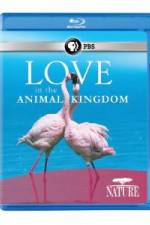 Watch Nature: Love in the Animal Kingdom 5movies