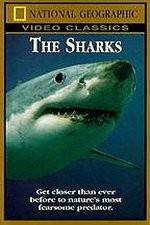 Watch National Geographic The Sharks 5movies