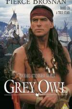 Watch Grey Owl 5movies