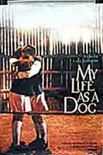 Watch My Life As A Dog 5movies