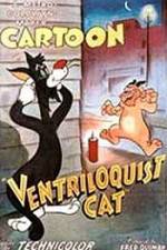 Watch Ventriloquist Cat 5movies