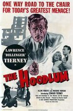Watch The Hoodlum 5movies