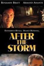 Watch After the Storm 5movies