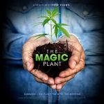 Watch The Magic Plant 5movies