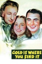 Watch Gold Is Where You Find It 5movies